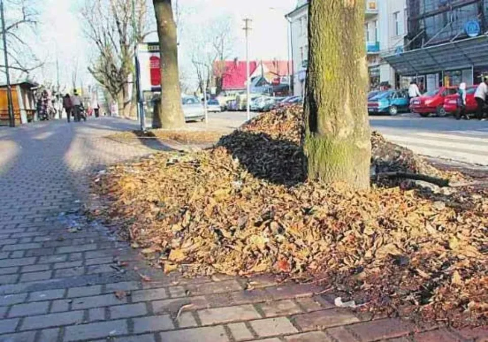 Burmistrzowie, czas na porządki w mieście!