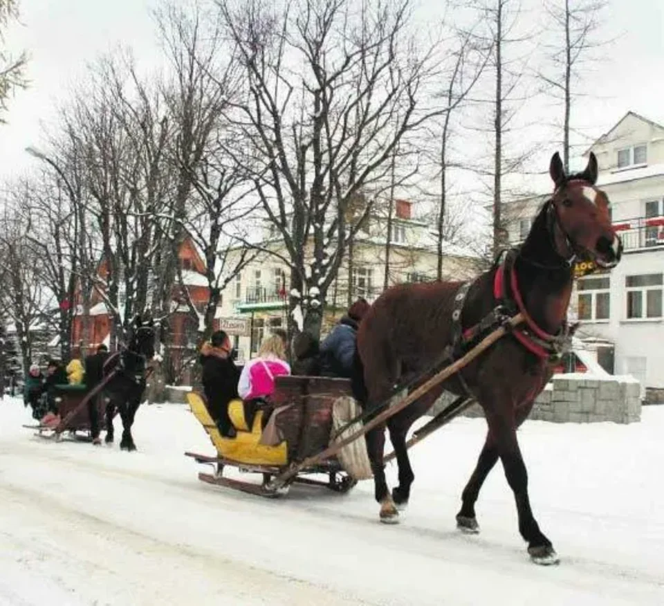 Kuligi z... odstępami