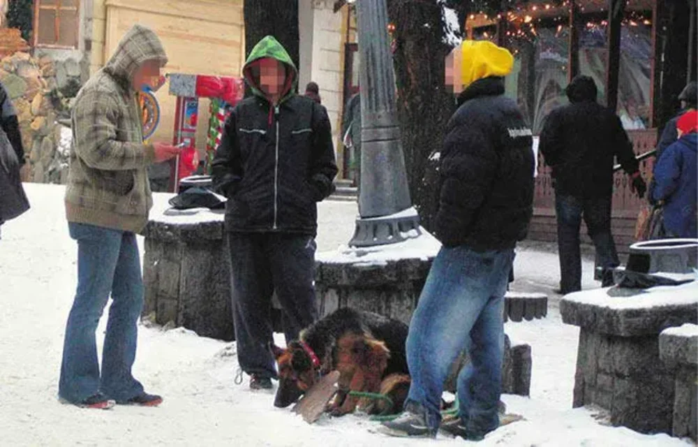 Straż i policja bezradne jak dzieci. Owczarek dalej żebrze