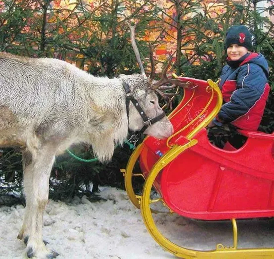 Turyści i radni stanęli w obronie zwierząt