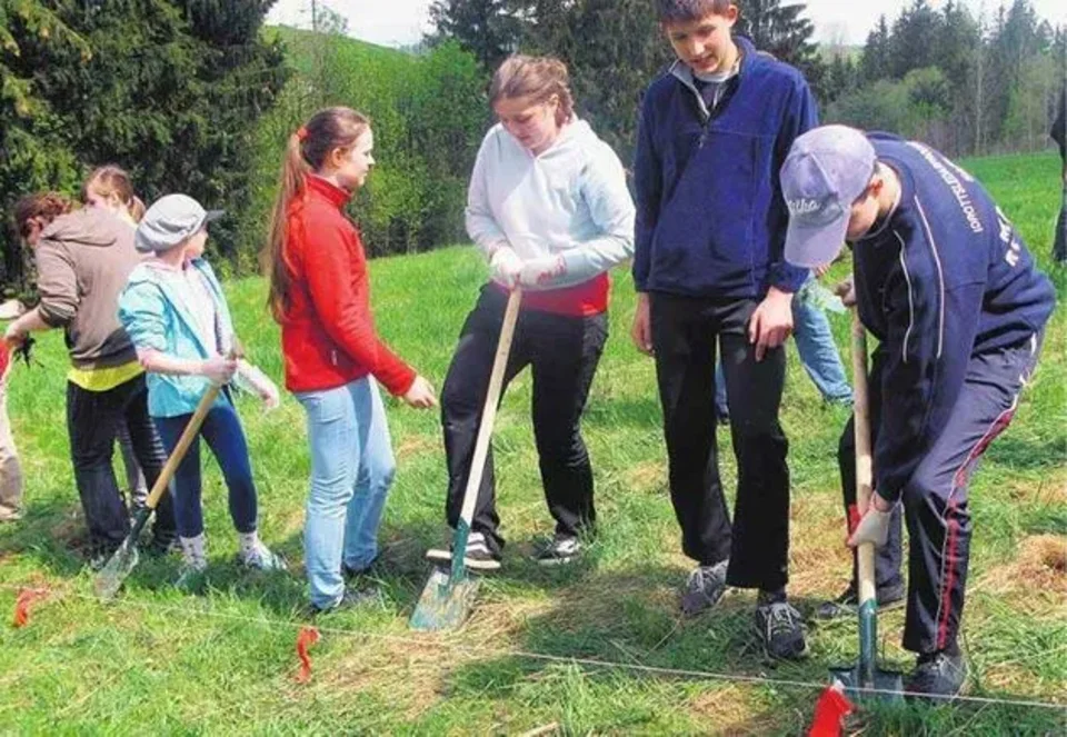 Tuż przy Zoniówce wyrośnie 4000 drzew
