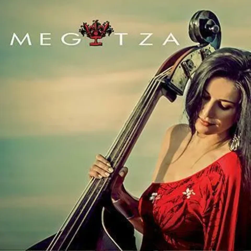 Warsztaty muzyczne i koncert zespołu Megitza