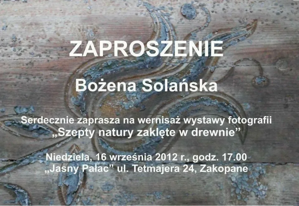Szepty natury zaklęte w drewnie