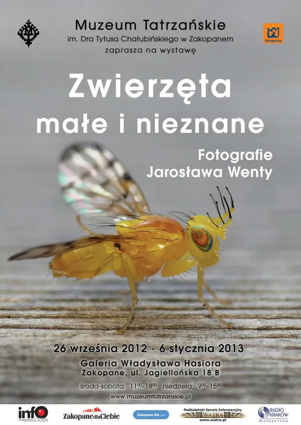 ZWIERZĘTA MAŁE I NIEZNANE. FOTOGRAFIE JAROSŁAWA WENTY