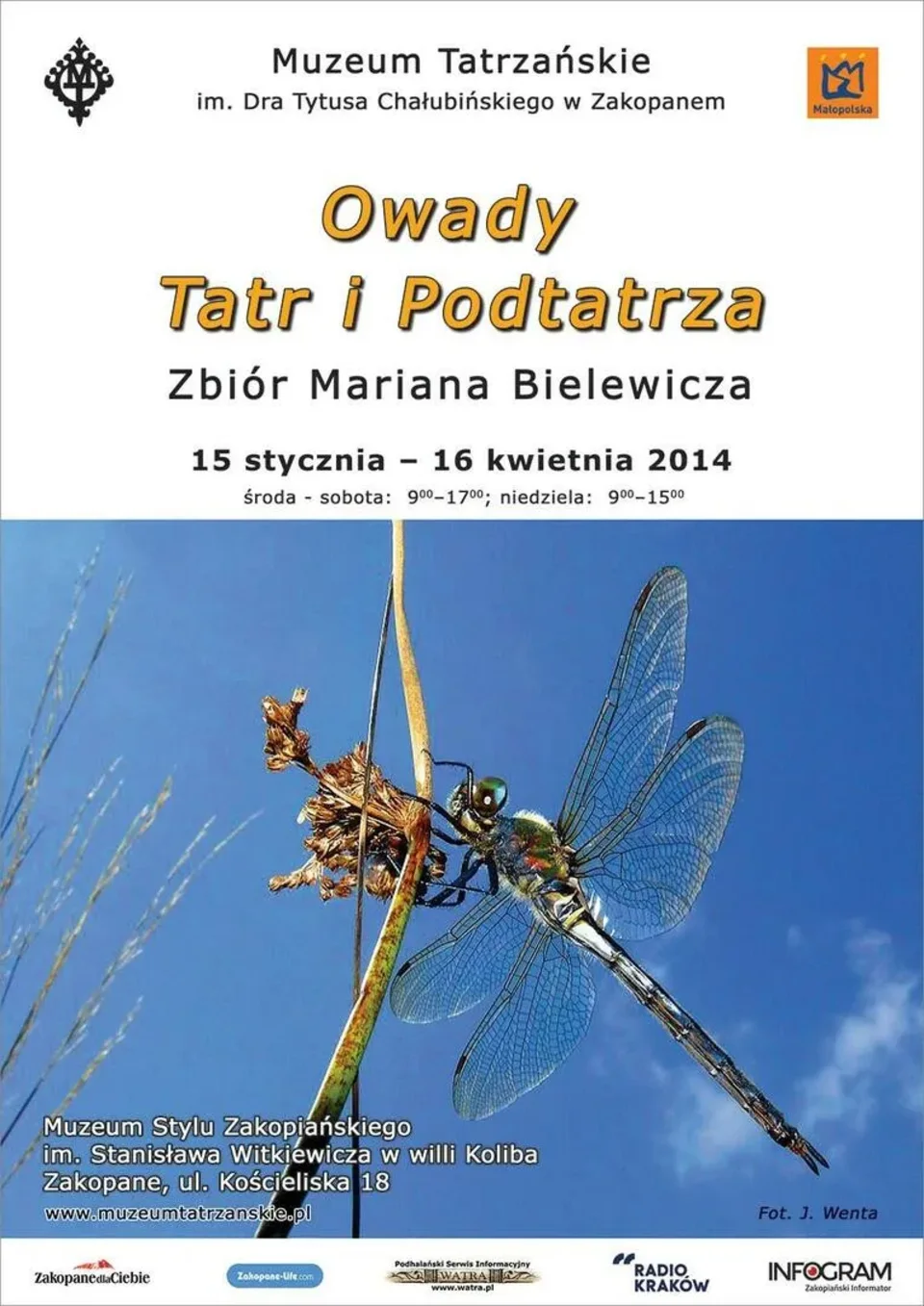 OWADY TATR I PODTATRZA