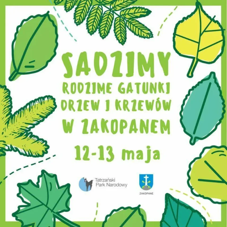 Sadzimy rodzime gatunki drzew w Zakopanem